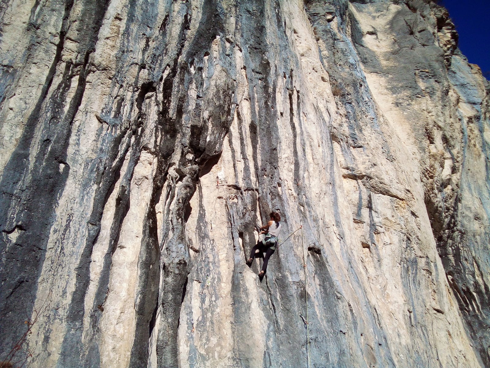 Cours perfectionnement